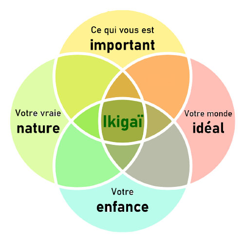 4 élements pour ikigaï